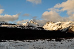 DSC_0144