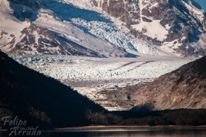 DSC_0433