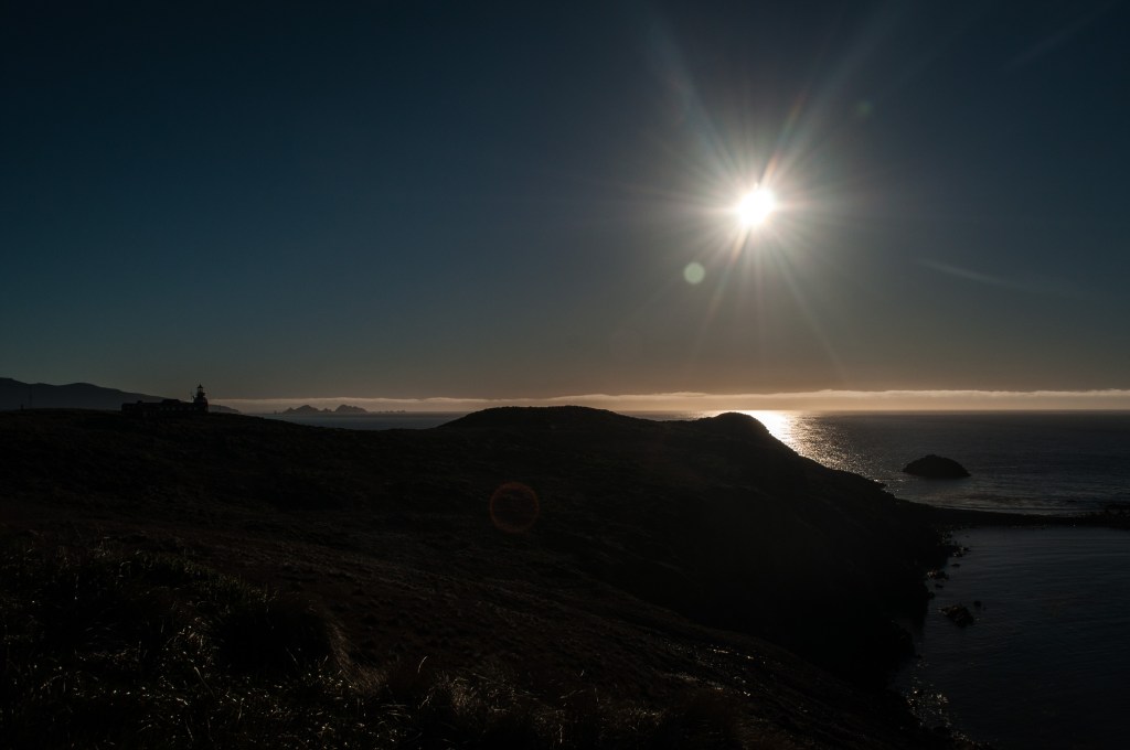 DSC_0071-2