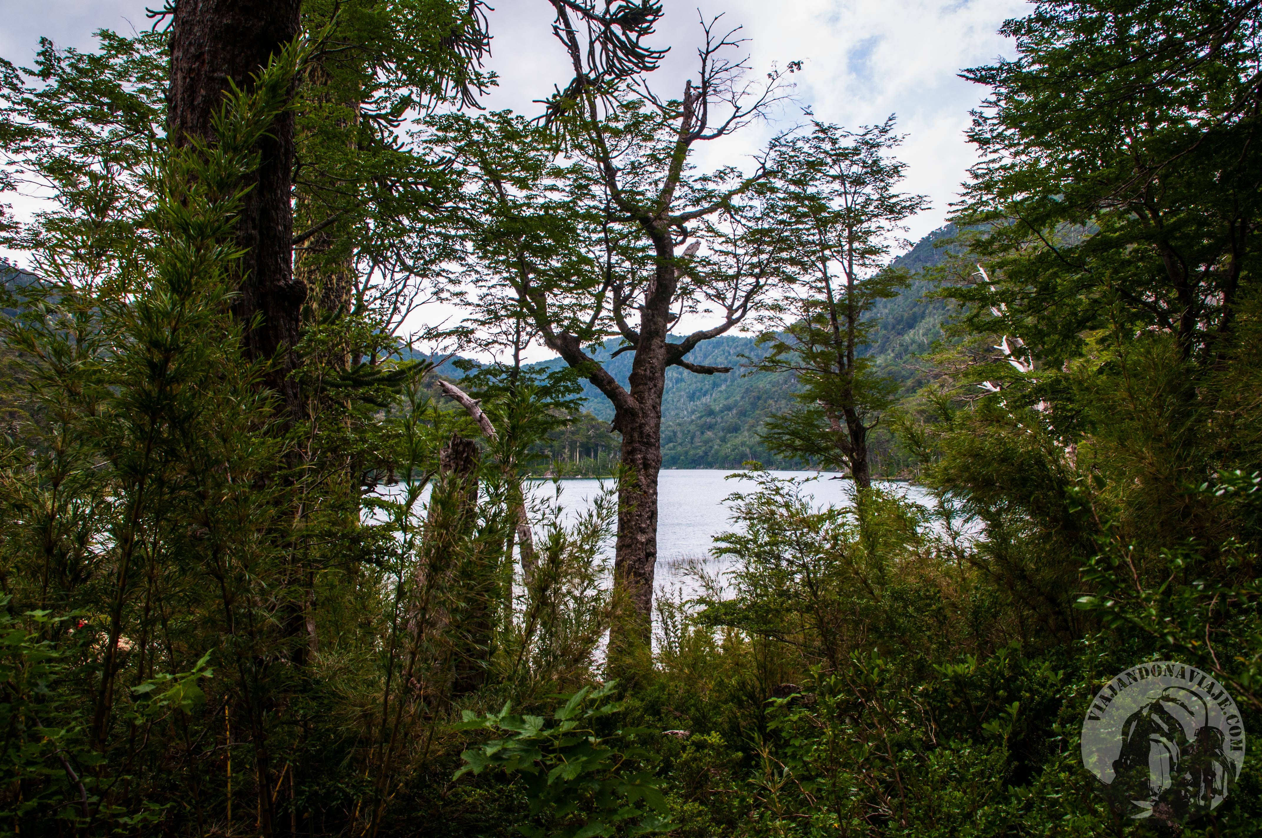 DSC_0645