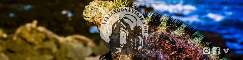 PhotoGallery: Galapagos Experience&nbsp;2017
