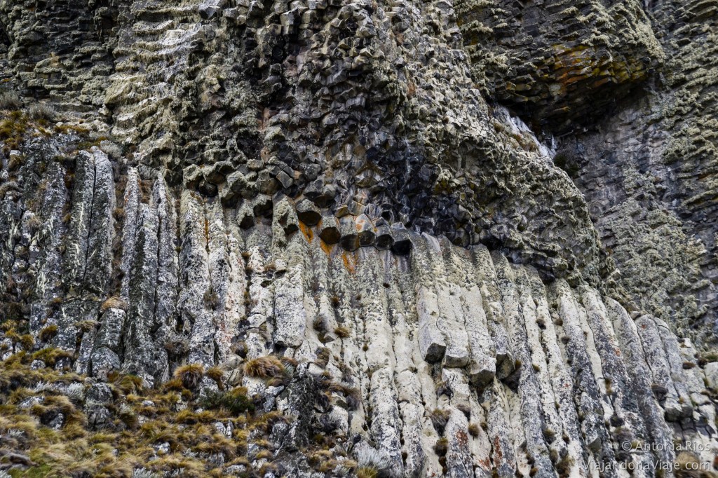 _DSC0150