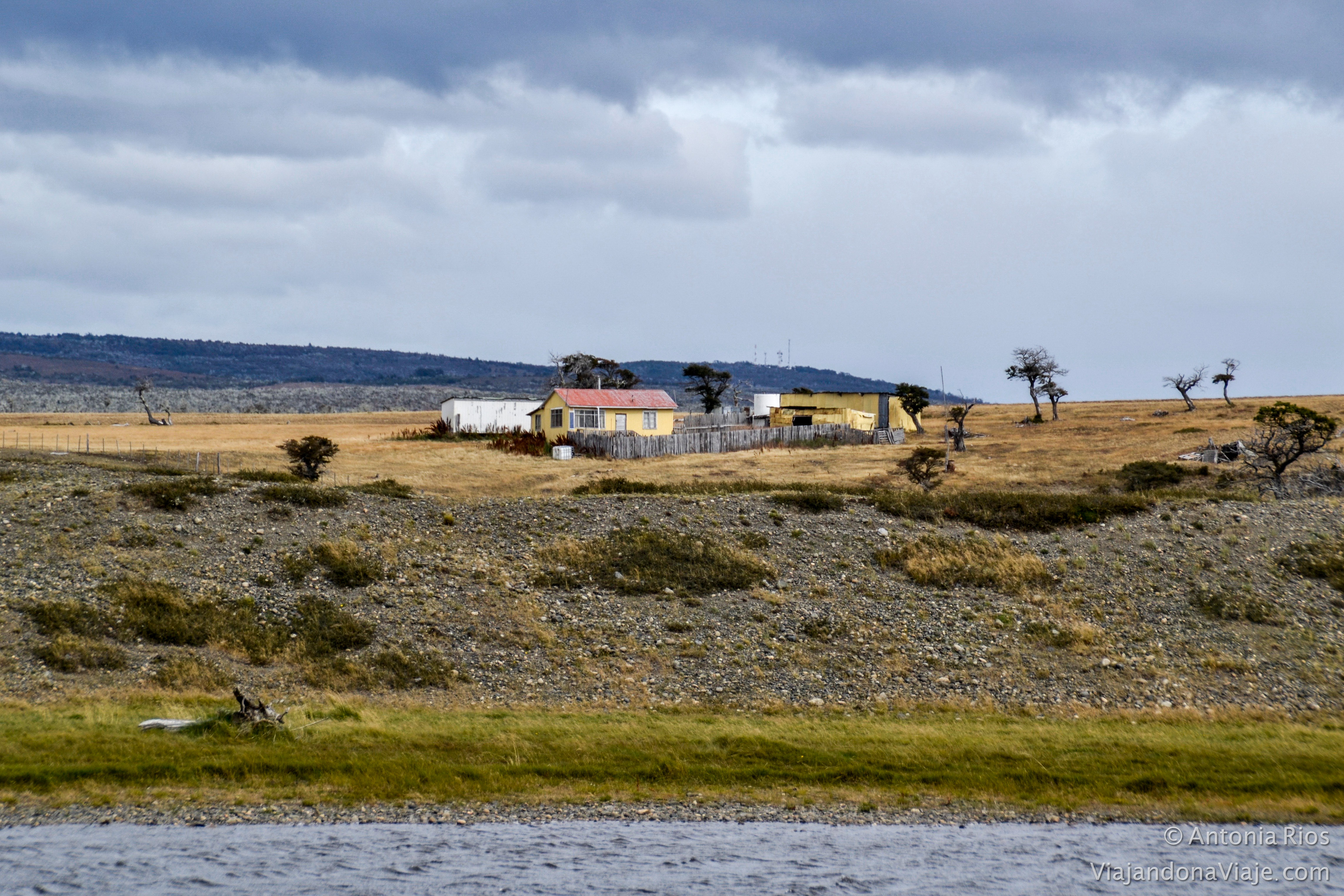 _DSC0157