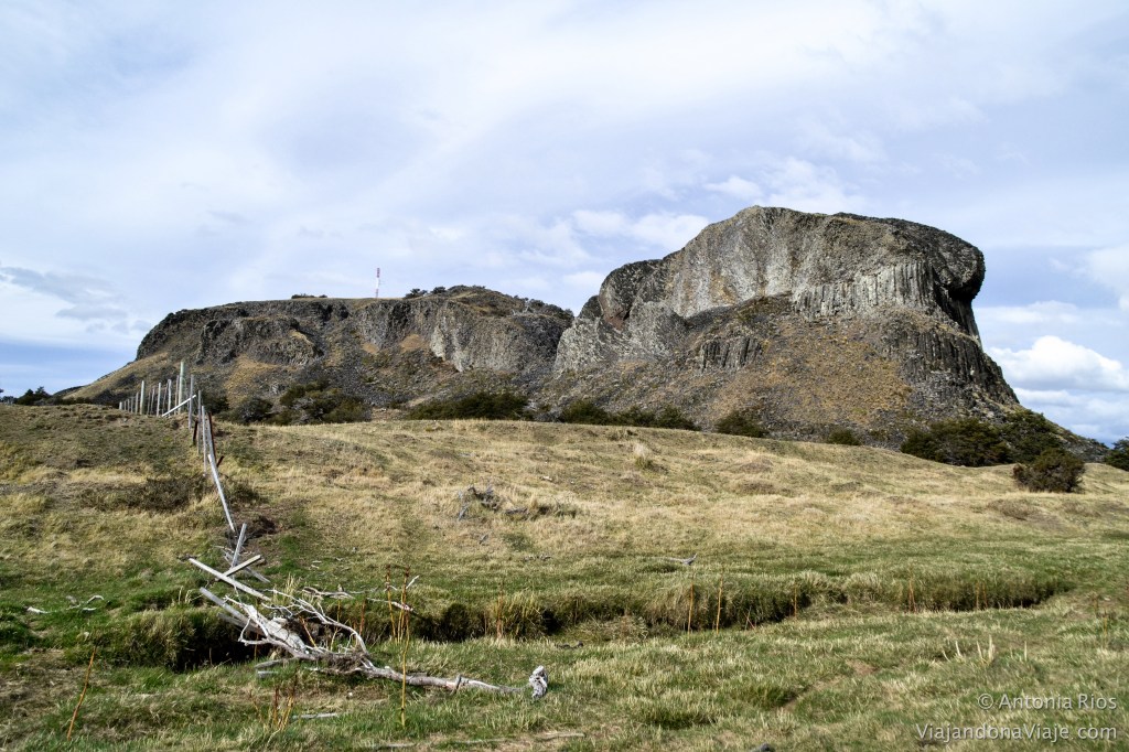 _DSC0315