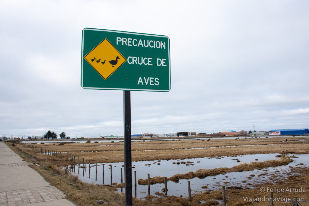 Humedal Tres Puentes